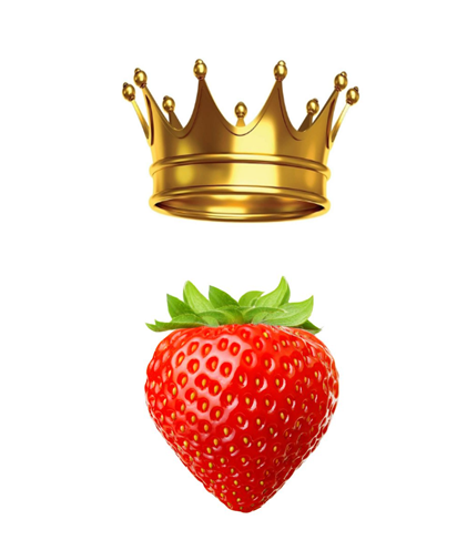 توت فرنگی پادشاه میوه ها
